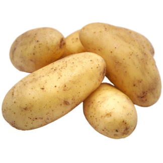 Pomme de terre agata