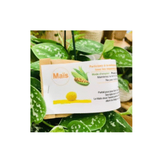 Cocon avec graines de mais multicolore